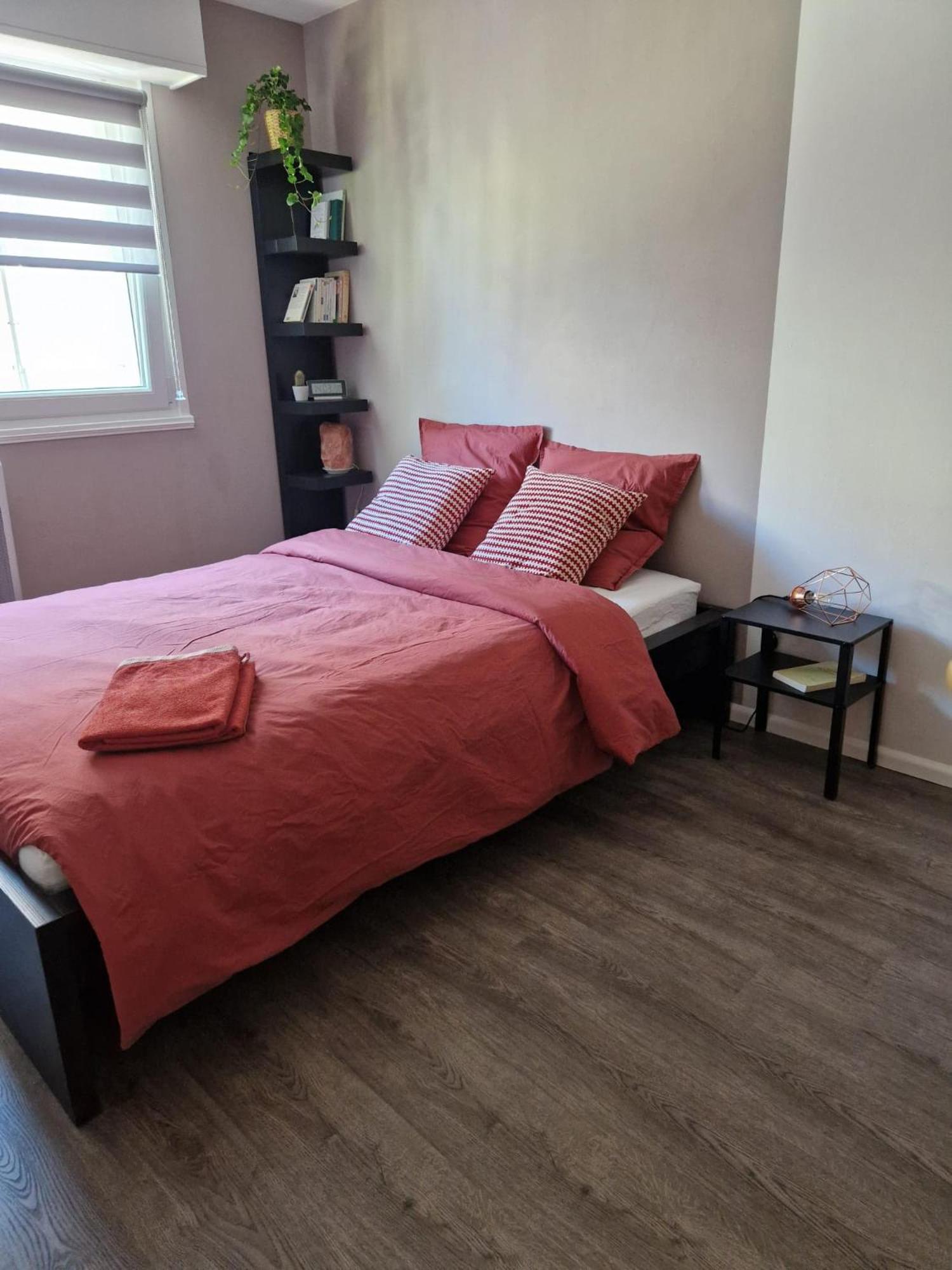 Robertsau Tres Bel Appartement Strasbourg Extérieur photo